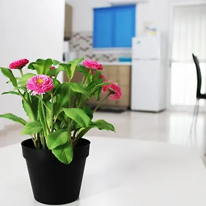  Apartament Duplex Comfort